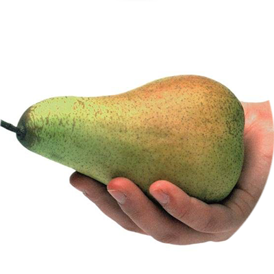 Eine Hand voll ist das Maß für großstückiges Gemüse und Obst (z. B. Kohlrabi, Apfel, Orange). Birne in einer Hand