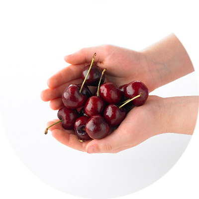 Zwei Hände zur Schale gehalten sind das Maß für zerkleinertes oder kleinstückiges Obst (z.B. Kirschen, Erdbeeren). Kirschen in Kinderhänden
